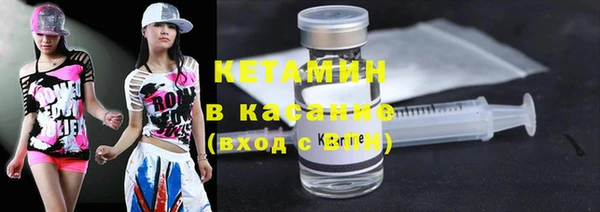 трава Новозыбков