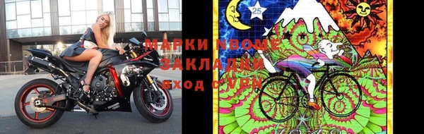 трава Новозыбков