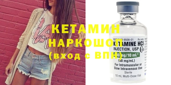 трава Новозыбков